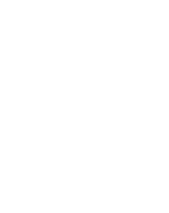 Elegance2