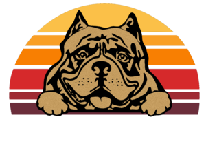 American Bully2