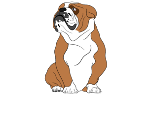 Bulldog3