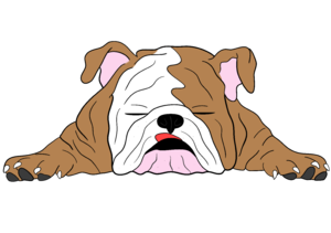 Nem horkolok! Csak azt álmodom, hogy motorbicikli vagyok2