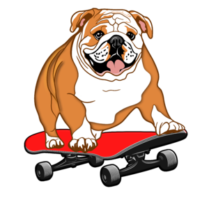 Bulldog on a skateboard2