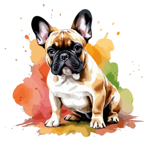 Francia Bulldog-Art