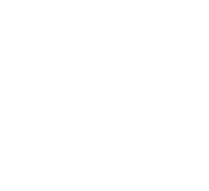 French bulldog2