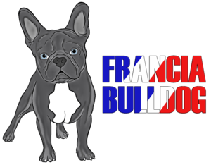 Az élet szép, de egy francia bulldog még szebbé teszi3