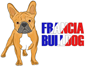 Az élet szép, de egy francia bulldog még szebbé teszi2