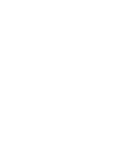 Boxer2