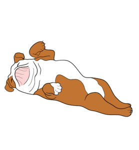 Jogom van a fél ágyhoz, középen2